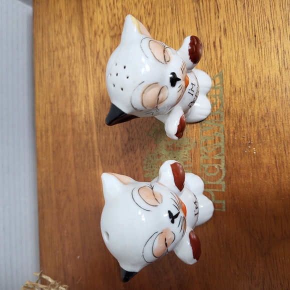Vintage Ceramic Bonzo Dog I'm Salt I'm Pepper Shakers - Picture 4 of 14